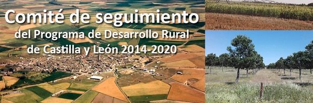 Comités de Seguimiento del PDR de Castilla y León 2007-2013 y del PDR 2014-2020