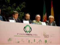 Congreso Forestal Español