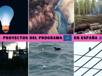 La Comisión Europea da luz verde a 25 proyectos del Programa LIFE en España
